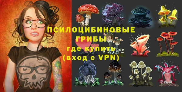 apvp Арсеньев