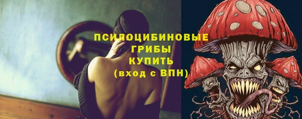 apvp Арсеньев