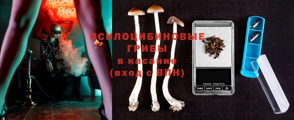 apvp Арсеньев